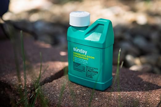 Sunday Dandelion Doom Concentrate Kit, Lawn Weed Killer for Spot Treatment, Kills Dandelion, Clover, Chickweed, Moss Without Harming Grass, (2) 5 fl oz Concentrate + Reusable Pouch + Wand Sprayer
