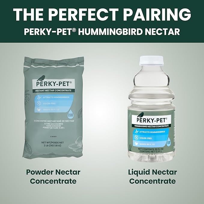 Perky-Pet Glass Hummingbird Feeders for Outdoors with Ant Moat, Bee Guards, & Perches, 8oz Nectar Capacity, Wide-Mouth Bottle for Easy Filling & Cleaning, Outdoor Garden Décor, 203CPBN-2 (Pack of 2)