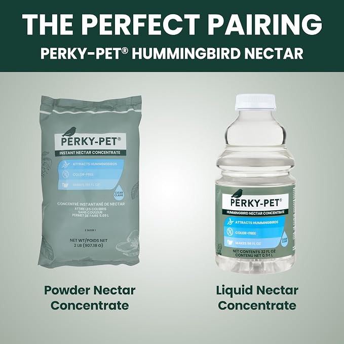 Perky-Pet 203CPBN-2 Glass Hummingbird Feeders for Outdoors with Perches,Ant Moat,Bee Guards -,2 Count (Pack of 2)