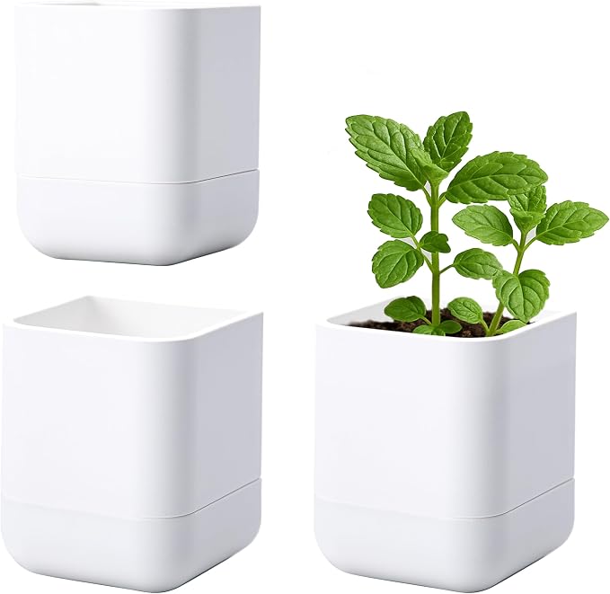 Phoenix Vine 3.5 Inch Wall Mounted Self-Watering Planter Pot for Indoor Houseplants and Herbs | Hanging Planter for Window Sills, Bathroom Walls, Home & Office Décor, White, Set of 3, 01-A-D-3