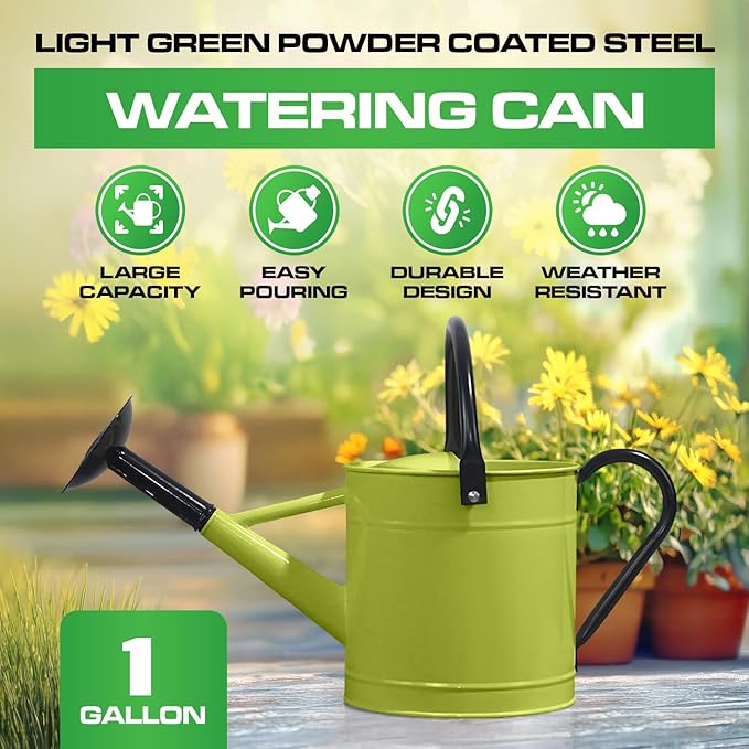Plexon Metal Watering Can Outdoor 1 Gallon, Flower Plant Gardening Garden Large Green Watering Can Pot, Galvanized Steel Handles - Removable Spray Spout, Green