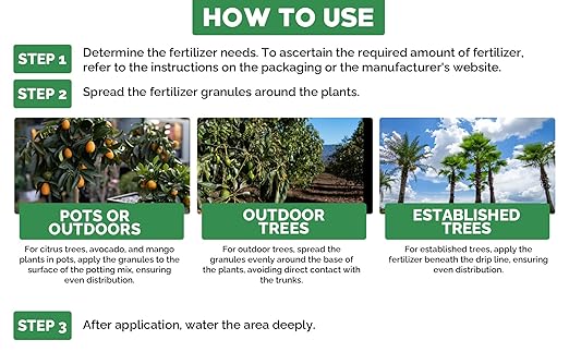 GARDENWISE Avocado & Citrus Tree Fertilizer for Indoor & Outdoor Plants | Quick-Release Nitrogen - Citrus Fertilizer (3 Quarts)