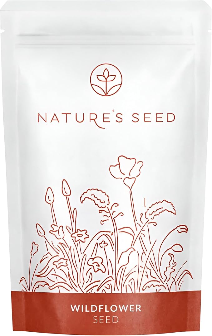 Nature’s Seed Purple Needlegrass, Native Perennial Wildflower Flower Seeds for Planting, Drought Tolerant, 0.25 lbs
