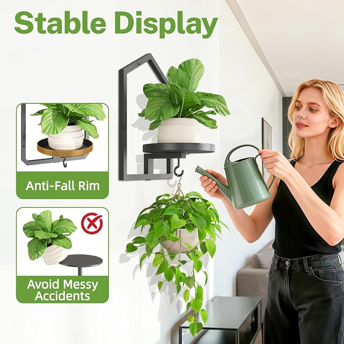 iDavosic.ly Wall Plant Display Set of 4, Floating Picture Frame Holder, 2-Tier Shelves with 4 Hooks, Metal Stand for Indoor Haning Home Decor Outdoor Space Saving (Pots/Chains/Plants Not Included)