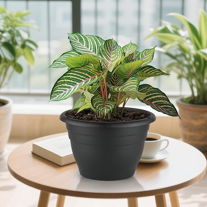 RooTrimmer 5 Pack 10 Inch Plant Pots Plastic Planters with Drainage Holes & Plugs,Lightweight Flower Pots for Indoor Outdoor Plants,Flowers,Monstera,Snake Plant,Home Garden(Black)
