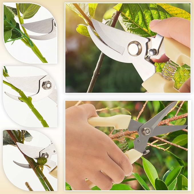 Amylove 24 Pcs Garden Flower Shears Pruning Scissors Valentine Heavy Duty Plant Scissor Garden Clippers Hand Bypass Pruner for Gardening Plants Hedge Tree Cutting Miniature Bonsai Modeling(Beige)