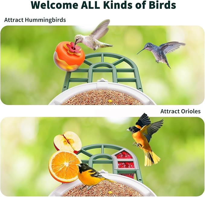HARYMOR Bird Feeder with Camera with AI Identify Birds Species Solar Powered, Smart Bird House with Cam, 2K HD Video Live Stream, Instant Arrival Alerts - Green