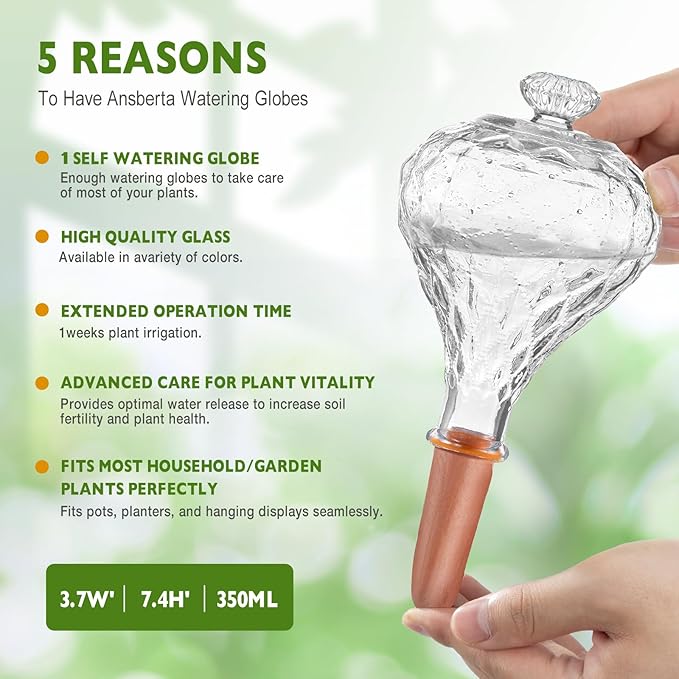 12 oz Plant Watering Globes, Clear Glass Self Watering Bulbs Top Fill with Terracotta Spikes Stake, Self Watering Planter Insert Vacation Automatic Plant Waterer Device for Indoor & Outdoor 2Pack