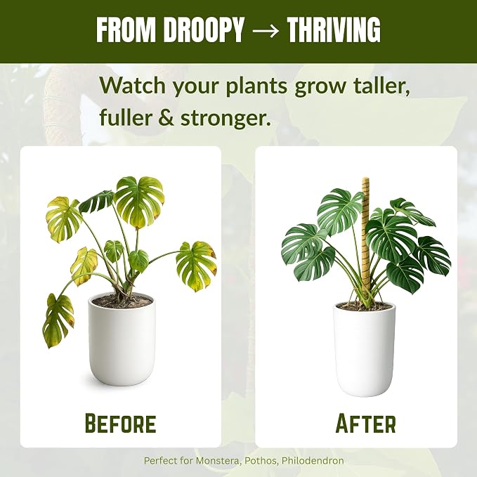 2 Pack of 48” Bendable Moss Pole for Monstera,Flexible Coco Coir, Large Plant Support for Climbing Plants with Reinforced 5mm Aluminum Core-Plant Stake for Pothos & Philodendron-Monstera Support