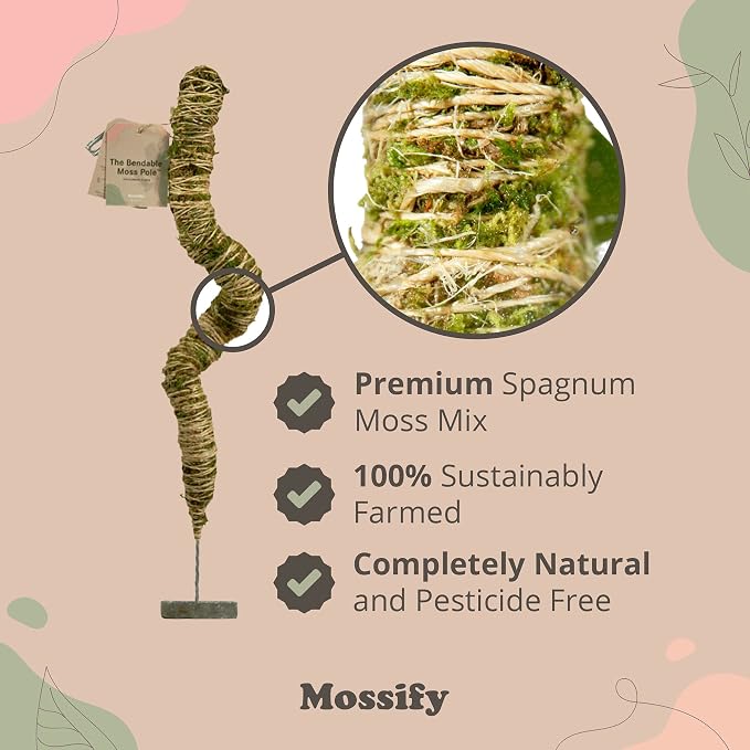 Mossify Bendable Moss Pole 42'' Monstera Plant Support for Climbing Indoor Plants - 100% Sustainably Farmed Moss Pole for Plants Indoor Growth - Flexible Handmade Sphagnum Plant Poles Support