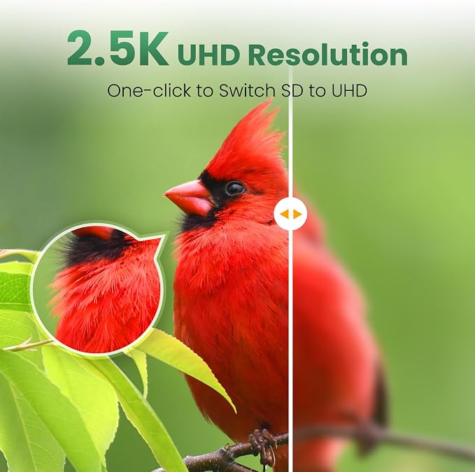 Smart Bamboo Bird Feeder with Camera | 2.5K UHD AI Identification, Real-time Videos & Pictures, Wireless Solar Powered, Outdoor, Ideal for Garden Birding
