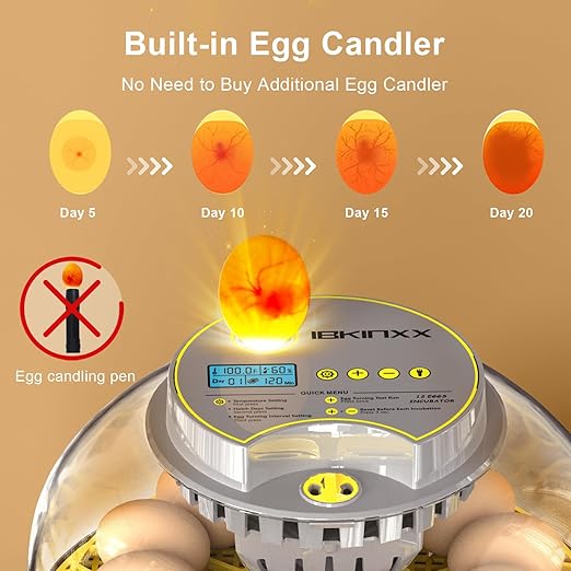 Incubator for Hatching Eggs-12 Egg Capacity, 2026 Newly Upgraded Automatic Egg Turner, Temperature & Humidity Control, 360° Viewing for Chicken, Duck and Quail Eggs (Grey)