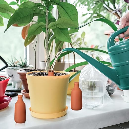 DoubleFill 6 Pcs 24oz Ollas Terracotta Watering Pots Self Watering Planter Insert Terracotta Globes Clay for Outdoor Indoor Garden Plants, Easy to Refill