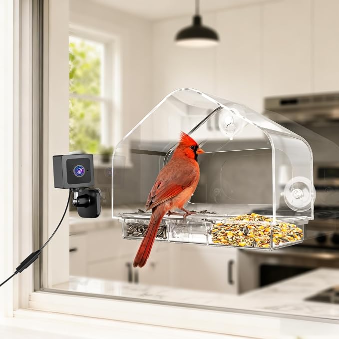 Smart Window Bird Feeder with 2K Camera & AI Identification, Strong Suction Cup Mount, All-Weather Design, Real-Time Alerts, Easy to Install, for Apartments & Homes, Perfect for Bird Lovers