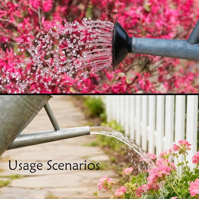 Metal Watering Can 1 Gallon with Removable Spout, Ideal Plant Watering Can for Indoor and Outdoor Plants (One Gallon Silver Black)