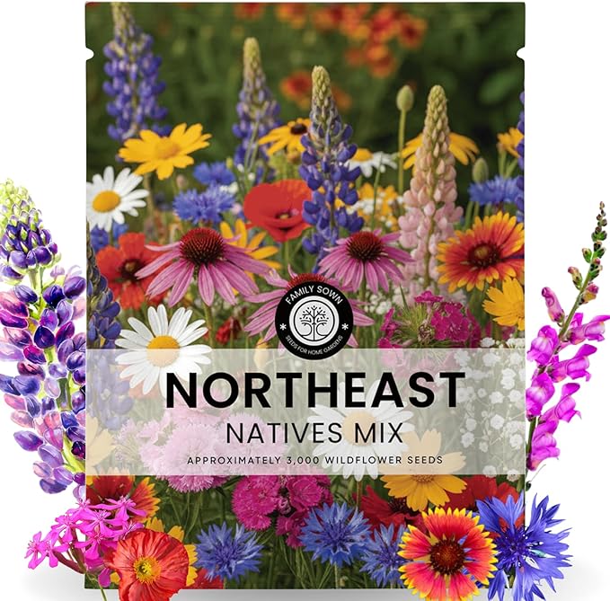 Northeast Natives Mix – 3,000 Seeds for Planting – 2026 Season – 5 Gram Pouch