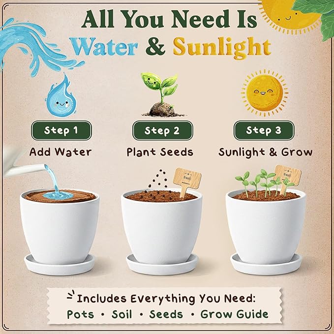 Seedboy Organic 10 Herb Garden Starter Kit for Planting Indoor or Outdoor, Non-GMO USDA Certified Seed, Cool Unique Gift for Gardeners, Mom Birthday, Friends, Plant Lovers (Herb Garden Starter Kit)