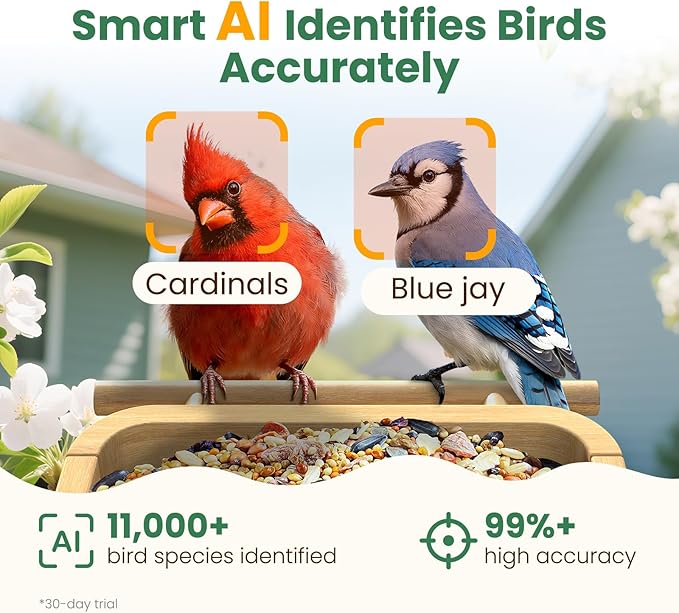 Smart Bird Feeder Camera with Solar Panel (Bamboo), 2.5K UHD AI Identification, Real-time Videos & Pictures, Wireless Solar Powered Outdoor, Ideal Garden Decor & Bird Watcher, Gift for Mom