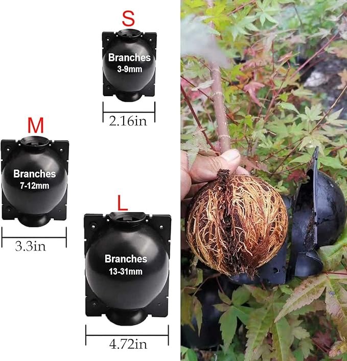 Tree Root Growing Box, Reusable Transparent Plants Asexual Reproduction Grafting Ball, High Pressure Air Layering Pods Propagation Kit (10pcs Meidum)