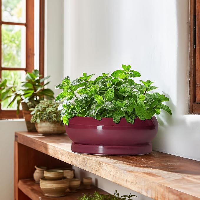Bonsai Pots 10 Inch - Ceramic Succulent Planters for Indoor Plants Outdoor, Round Succulent Pots with Drainage Hole and Tray, Shallow Planter, Room Decor, Gifts for Plant Lovers, Wine Red