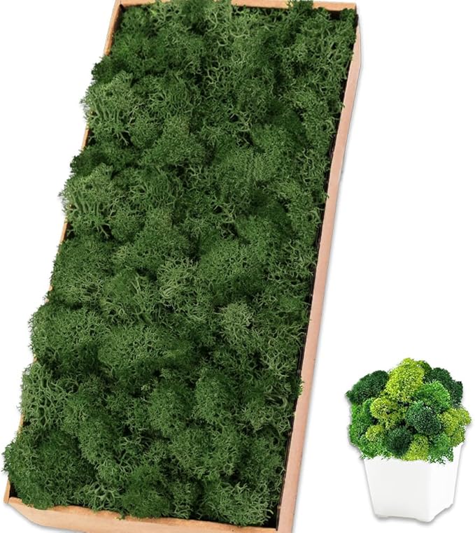 Preserved Reindeer Moss 17.6 OZ Dark Green Natural for Crafts, DIY Gift Christmas Decor, Wall Art, Potted Plants, Fake Moss for Easter Table Decor Wedding Decorative(1.1 LB, Dark Green)