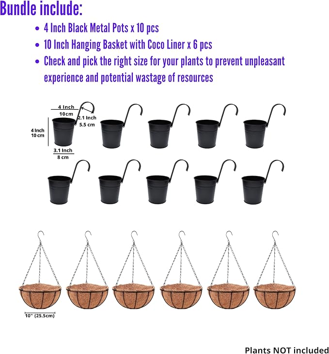 LaLaGreen Bundle - 10 Pack,4 Inch Black Metal Pot + 6 Pack,10 Inch Small and Cute Hanging Basket with Coco Liner,Garden Rail Fence Balcony Flower Succulent Holder Hanger Hook Rustic Outdoor Decor