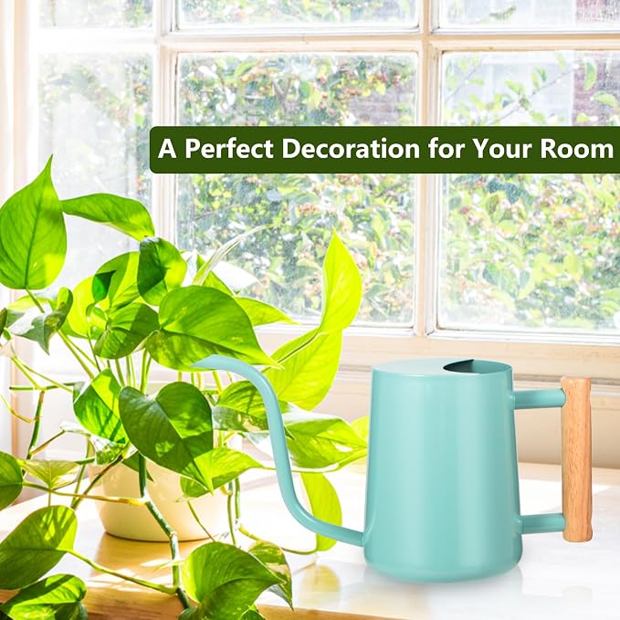 Watering Can Indoor Plants, 35oz Small Indoor Stainless Steel Metal Watering Can Modern Decorative Watering Pot with Long Spout for Indoor House Plant Bonsai Outdoor Garden Flowers Green