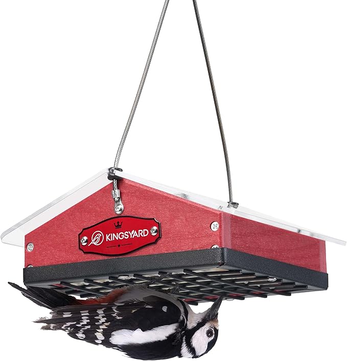 Kingsyard Upgraded Upside Down Suet Feeder for Outside Hanging - Recycled Plastic Wild Bird Feeder with Rainproof Roof for Attracting Woodpeckers Nuthatches Chickadees Finches. Red