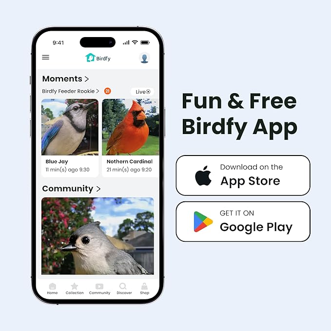 Birdfy Smart Bird Feeder with Camera for Rookie, Camera Bird Feeder Dual Night Vision, AI Recognition IP66 Waterproof for BirdLovers (Lifetime Free AI)