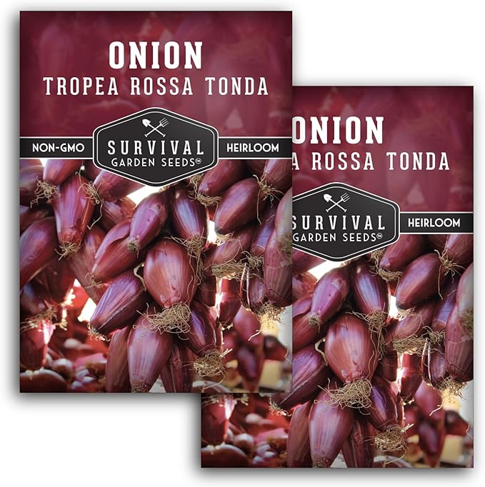 Tropea Rossa Tonda Onion Seeds for Planting – Sweet Italian Red Onion from Calabria with Torpedo Shape & High Yields – Heirloom, Non-GMO, Open-Pollinated – Survival Garden Seeds (2 Packs)