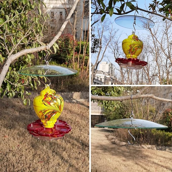 2PC X 10" Glass Rain Cover for Wild Bird Feeder Outdoors - Weather Guard S Hook Hanging - Protective Dome Baffle - Clear (Dia. 25CM)