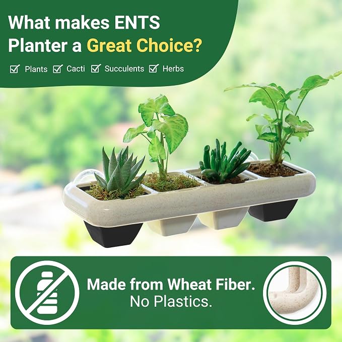 Eco-Friendly Wheat Fiber No Plastic Planter. Floating Window Shelf for Plants & Herb Garden with Removable Pots (Black & White Pots)