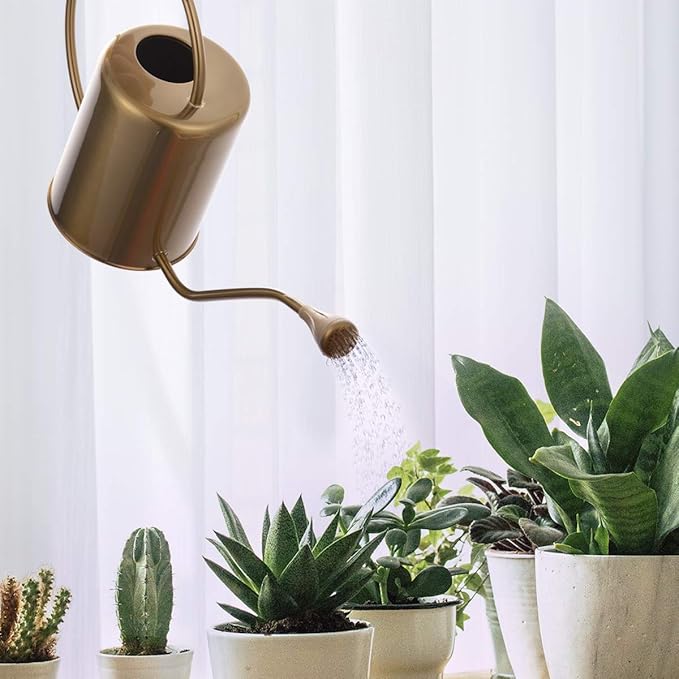 Yowon 1/2 Gallon 68oz Long Spout Stainless Steel Gold Colored Watering Can for Indoor Plant Watering or Outdoor Gardening with 2 Removable Spray Spout for Flowers