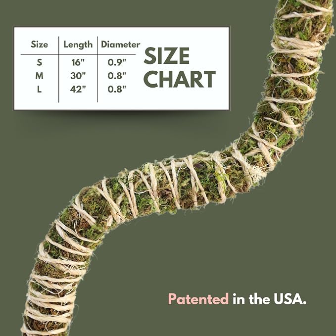 Mossify Bendable Moss Pole 3 Pack 30'', Monstera Plant Support - Natural Forest Moss Poles for Climbing Plants - Flexible & Thin Plant Sticks for Monstera Support - Indoor & Outdoor Plants Mosses Pole