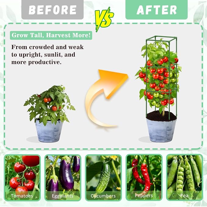 Riare 6 Pack Square Tomato Cages for Garden- 45 Inch Heavy Duty Tomato Stakes Plant Support, Metal Tomato Trellis for Climbing Plants Outdoor, Raised Garden Bed, Vegetables Flowers