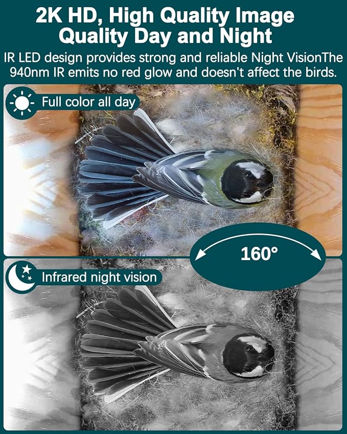 Bird House with Camera, Wireless Birdhouse for Outside with 2K HD Camera, 2.4G WiFi, App Notify, Solar Powered, Night Vision, AI Identify, Ideal Bird Nesting for Blue Bird and Cardinal