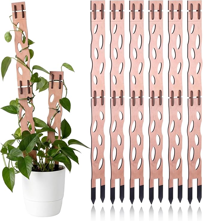 6 Sets Wooden Extendable Plants Trellis Indoor Modular Plant Trellis with Wood Thrive Sign Decor and Extensions for Outdoor Climbing Houseplants Vine Flower Stem (Classical)