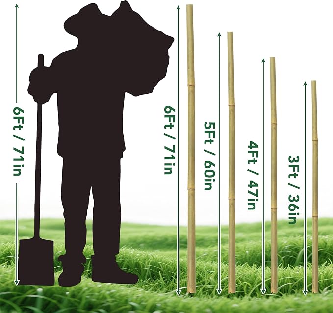 65 Pcs Bamboo Plant Stakes 4 Feet, Oltara Natural Bamboo Sticks Garden Stakes for Climbing Plants Support, Bamboo Poles,Potted Plants, Tomatoes, Beans, Flowers, Trees