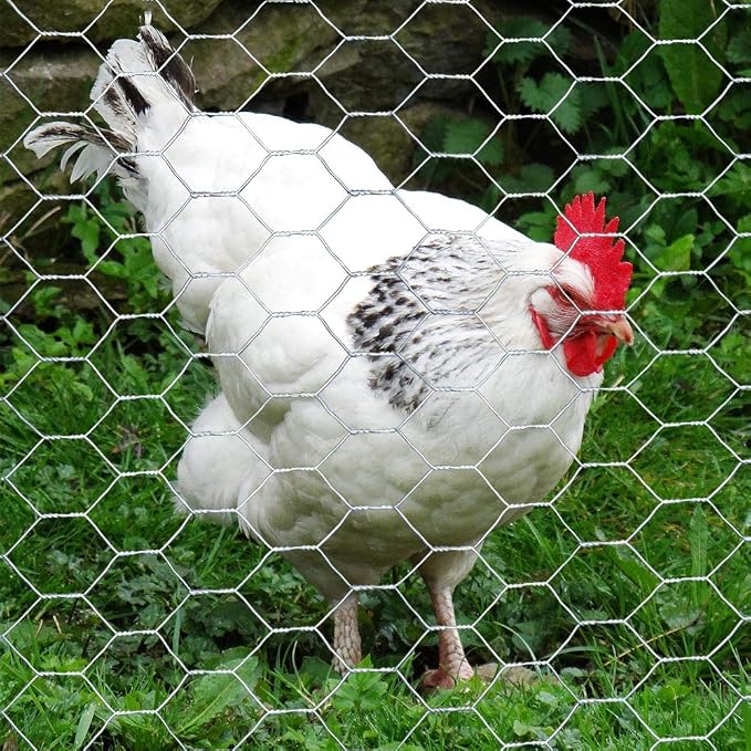 MTB 20GA Galvanized Hexagonal Poultry Netting Chicken Wire 72 inches x 150 feet x 1 inch Mesh