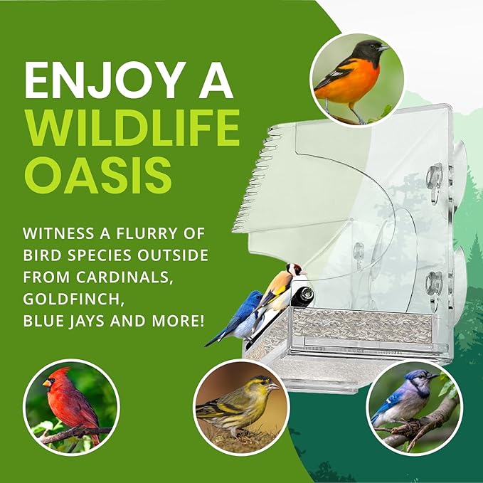 Nature Gear Acrylic Clear Window Bird Feeder with Strong Suction Cups, Removable Sliding Seed Tray, Weather-Resistant & Easy to Clean for Window Viewing, Extended