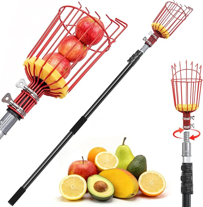 ARTIPOLY 20FT Reach Telescoping Fruit Picker, 4-12FT Adjustable Aluminum Pole with Basket, Lightweight Heavy Duty Tool for Harvesting Apples Mangoes Avocados Pears Lemons