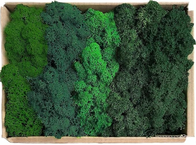 Preserved Reindeer Moss Natural Green DIY Kit Gardenning Art Wall Decor Florist Decor Easter Table Decor Wedding