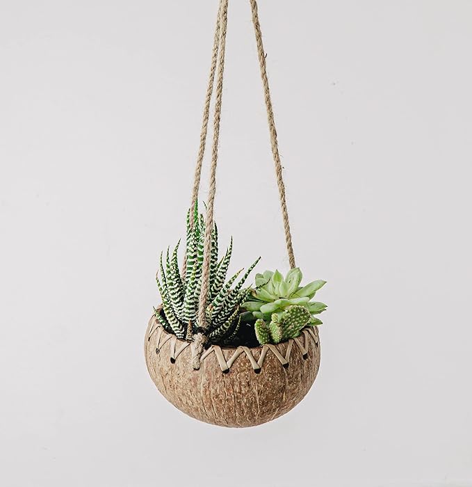 Rainforest Bowls Set of 4 Hanging Fiber Coconut Planters w/Drainage Hole- Perfect for Succulents, Flowers, Small Plants, Indoor & Outdoor Gardens- Handcarved by Artisans, Eco-Friendly & Sustainable