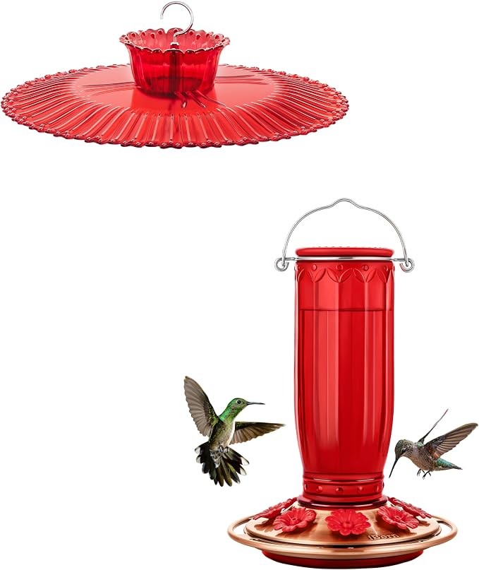 iBorn Hummingbird Feeders Sun Baffle,10.6inch, Red+ Hummingbird Feeders, 8 Ports,Yellow Flowers Red Glass, Pack of 1