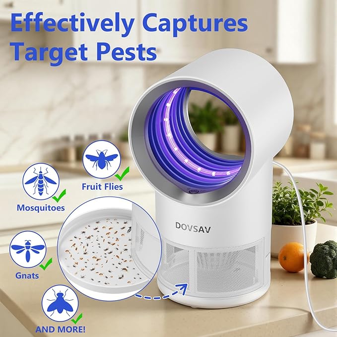Fruit Fly Trap for Indoors, Indoor Fly Trap with Suction, Indoor Bug Zapper, Gnat Traps for House with Timer and Bug Light, 10 Pcs Sticky Glue Boards (White)