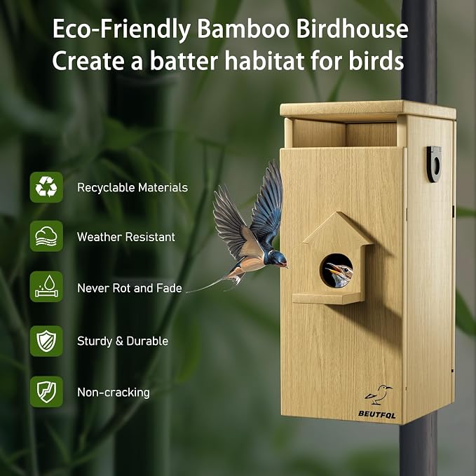 Bird House with Camera Solar Powered, 1080HD Live Video & Night Vision for 24/7 Nesting Recording, Auto Detect & Notify, Waterproof Bamboo,smart Bird House Camera for Backyard Birdwatching