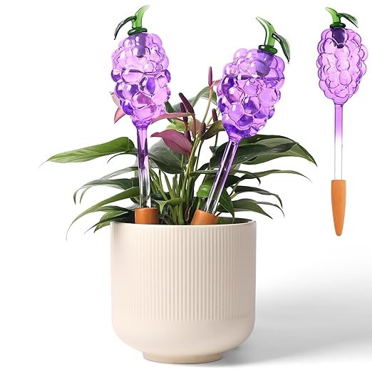 2pcs Strawberry and 3pcs Grape Watering Globes with 2 Terracotta Spikes