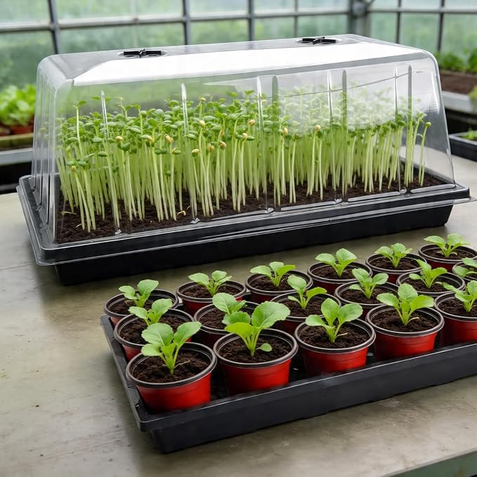 5 Pack 1020 Plant Tray with Tall Dome (7.3 inch), Plastic Flat Seed Starter Tray with Humidity Domes, Heavy Duty 1020 Trays with Lid, Durable Carrying Seedling Starting Tray for Planting (Black)