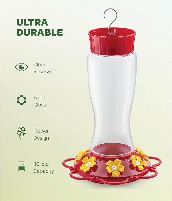 Hummingbird Feeder 20 oz [Set of 2] Glass Hummingbird Feeders for Outdoors, with Built-in Ant Guard - Circular Perch with 5 Feeding Ports - Wide Mouth for Easy Filling/2 Part Base for Easy Cleaning