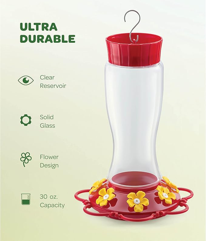 Hummingbird Feeder 30 oz [Set of 2] Glass Hummingbird Feeders for Outdoors - with Built-in Ant Guard - Circular Perch with 7 Feeding Ports - Wide Mouth for Easy Filling/2 Part Base for Easy Cleaning